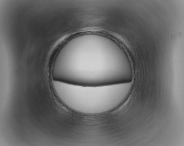 X0000114591406200910191025