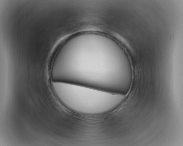 X0000114591408200910191025