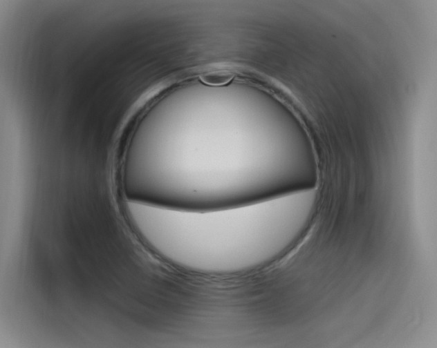 X0000114591410200910191025
