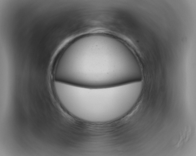 X0000114591414200910191025