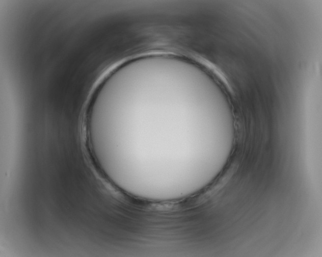 X0000114591415200910191025