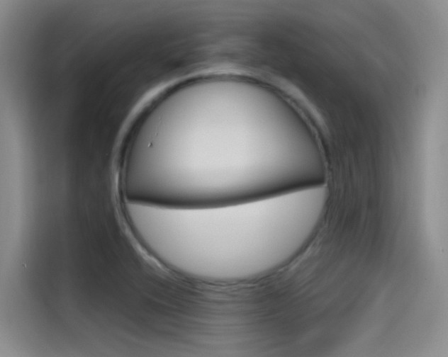X0000114591416200910191025