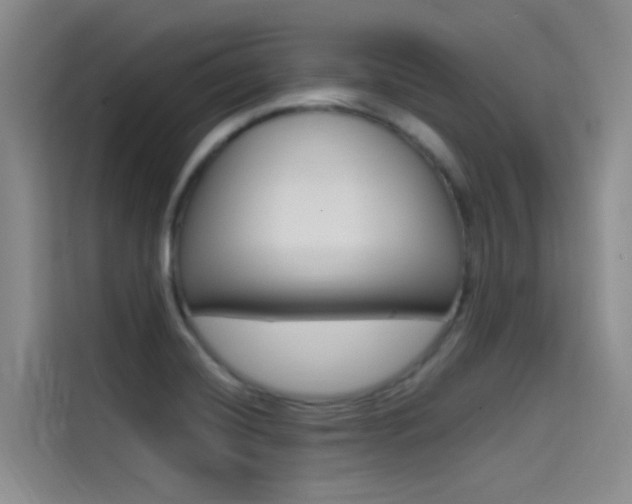 X0000114591420200910191025
