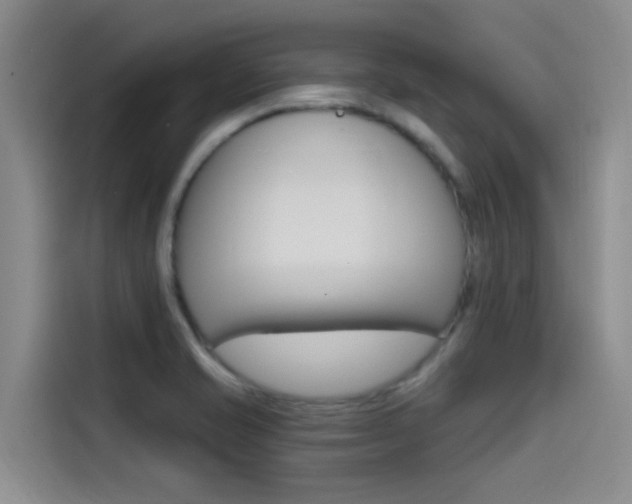 X0000114591421200910191025