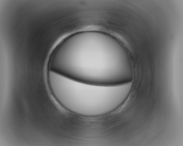 X0000114591422200910191025