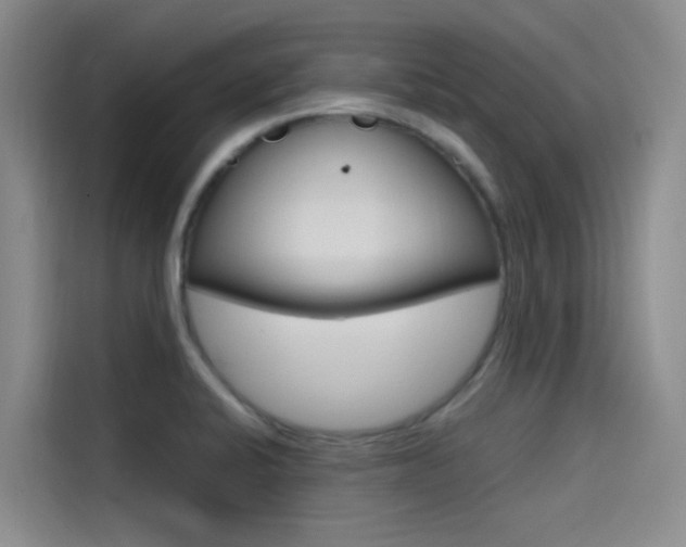 X0000114591424200910191025