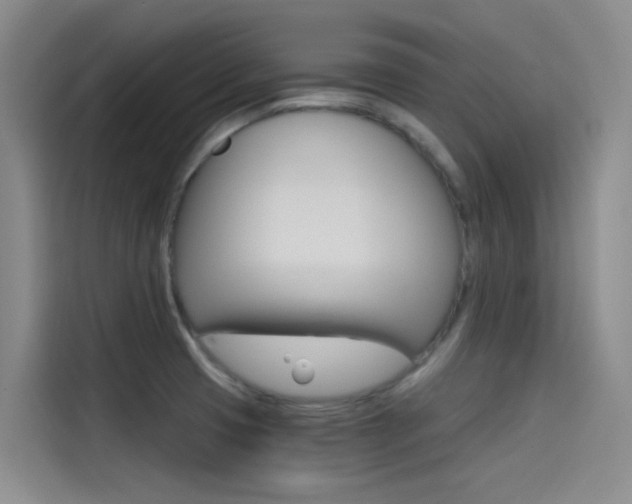 X0000114591425200910191025