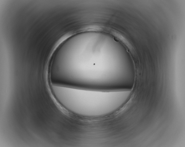 X0000114591426200910191025