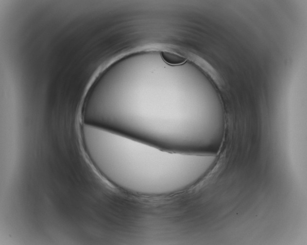 X0000114591428200910191025