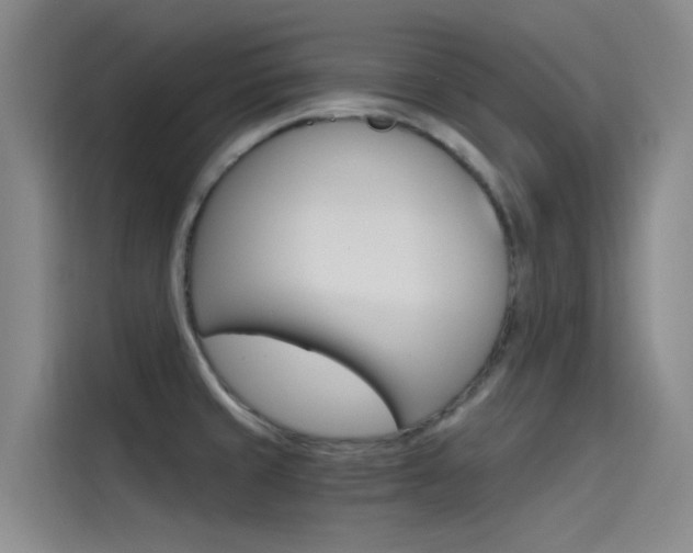X0000114591429200910191025