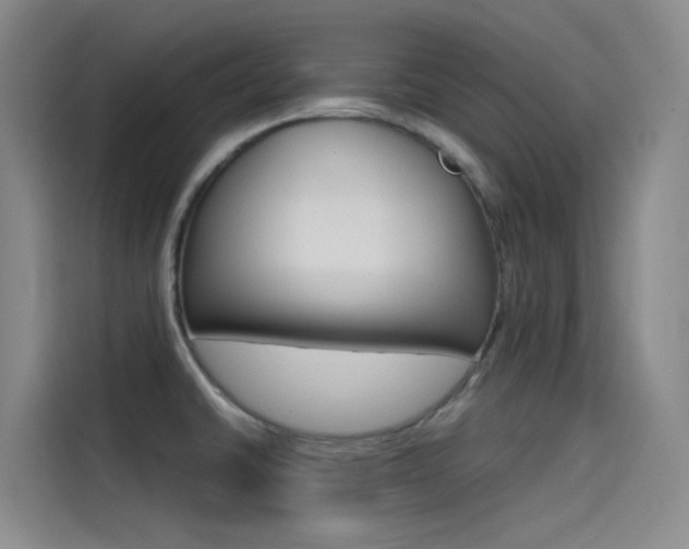 X0000114591430200910191025