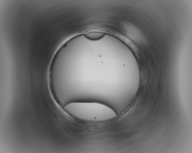 X0000114591431200910191025