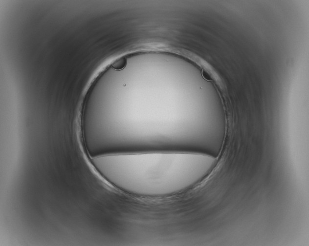X0000114591432200910191025