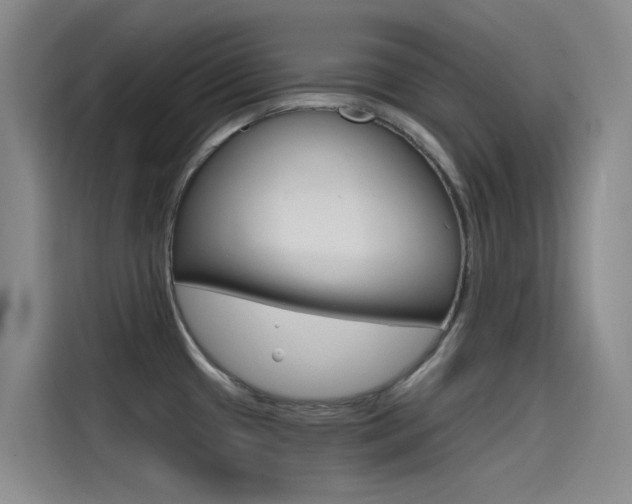 X0000114591433200910191025