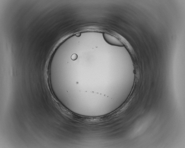 X0000114591435200910191025