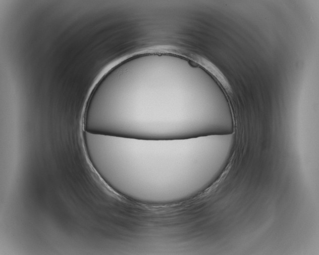 X0000114591436200910191025