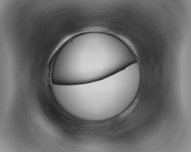 X0000114591438200910191025
