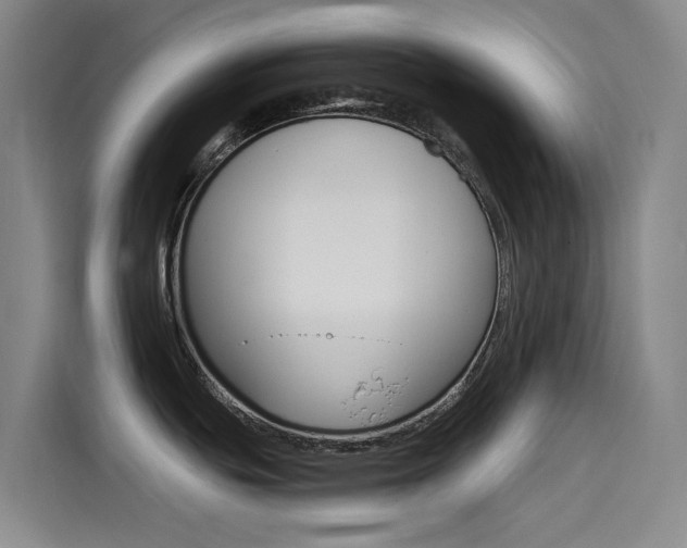 X0000114591439200910191025