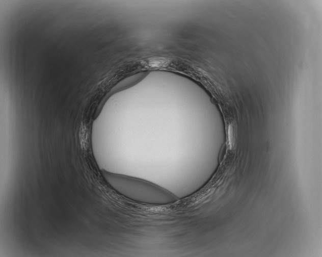 X0000114591443200910191024