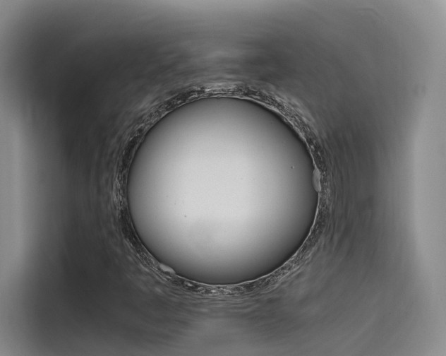 X0000114591445200910191024