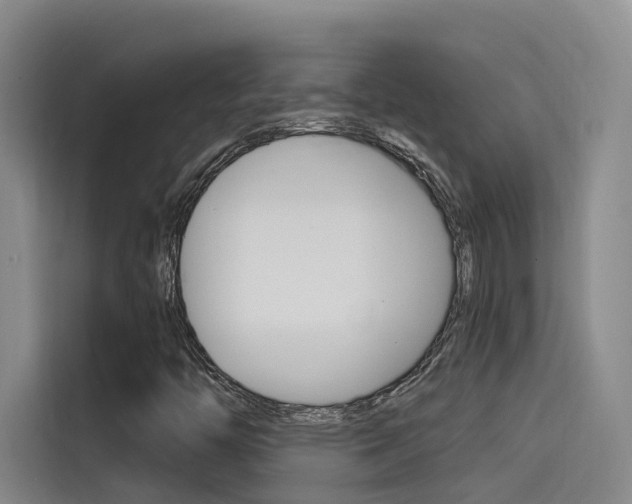 X0000114591446200910191024