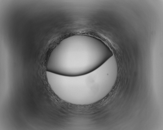 X0000114591447200910191024