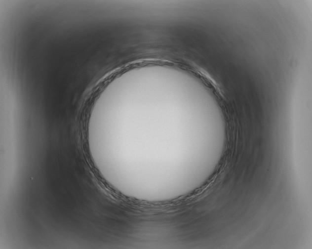 X0000114591448200910191024