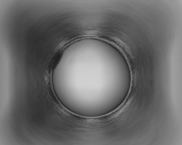 X0000114591449200910191024
