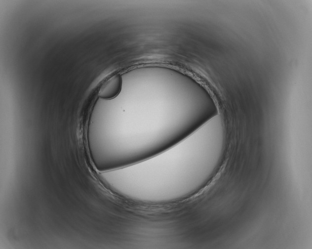 X0000114591450200910191024