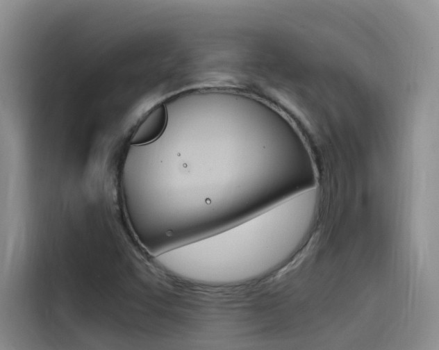 X0000114591455200910191024