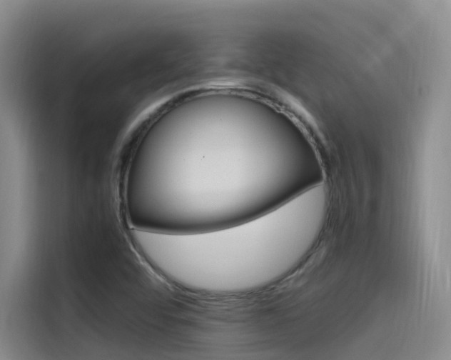 X0000114591456200910191024