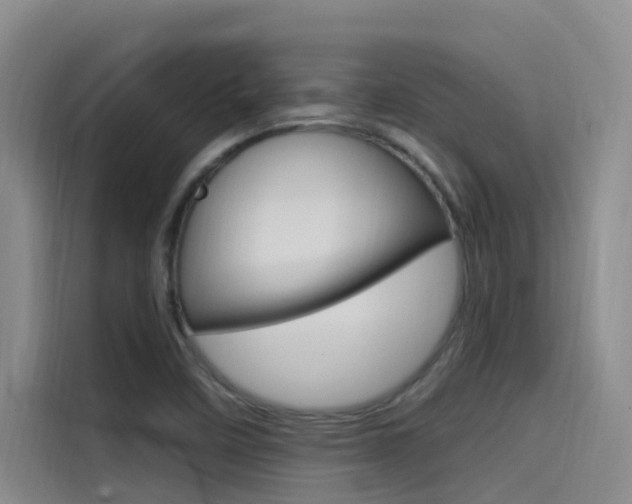 X0000114591458200910191024