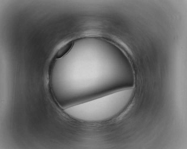 X0000114591461200910191024