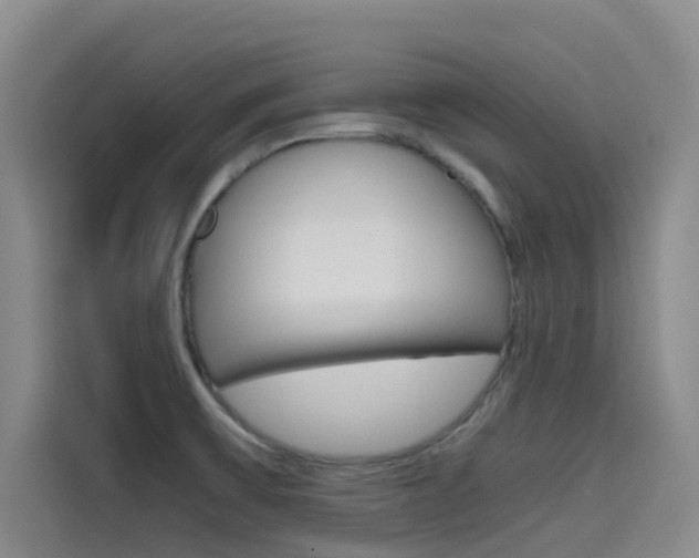 X0000114591475200910191024