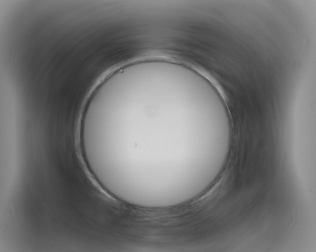 X0000114591477200910191024