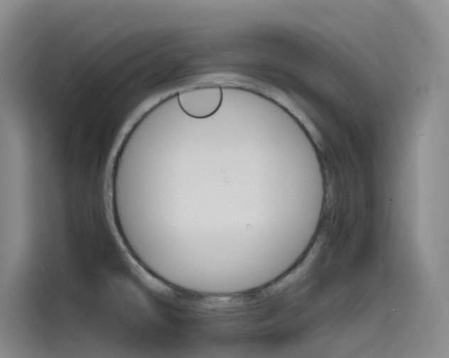 X0000114591478200910191024