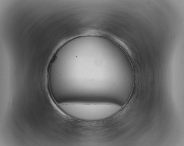 X0000114591479200910191024