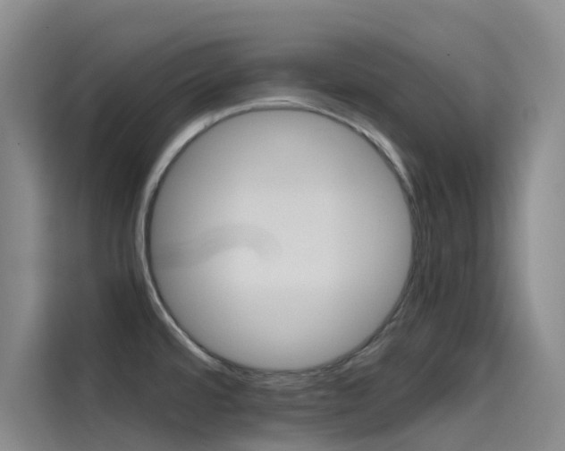 X0000114591480200910191024