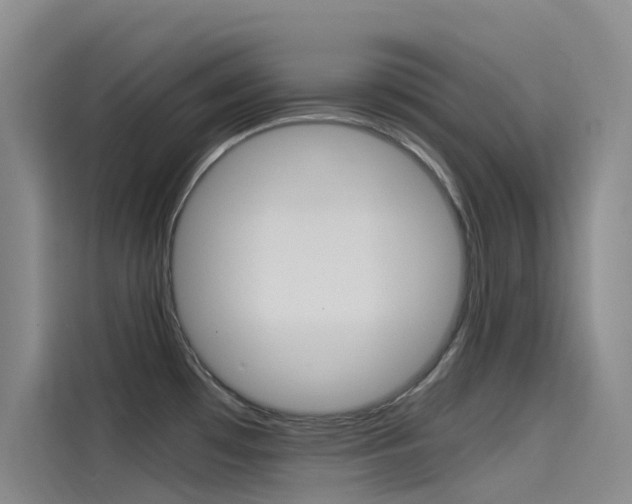 X0000114591481200910191024