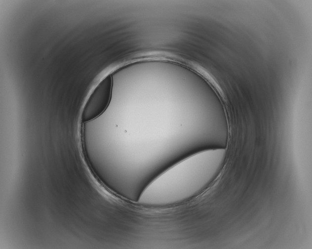 X0000114591482200910191024