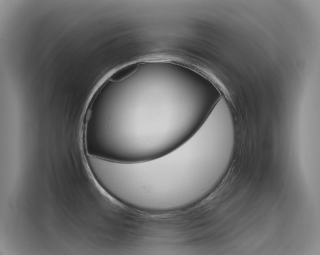 X0000114591484200910191024