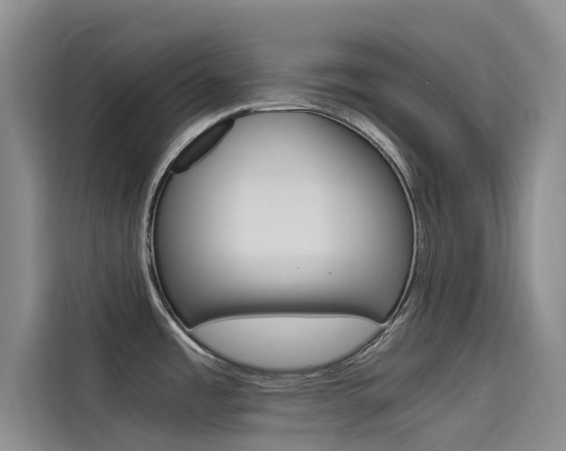 X0000114591485200910191024