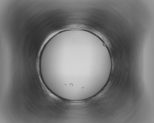 X0000114591486200910191024