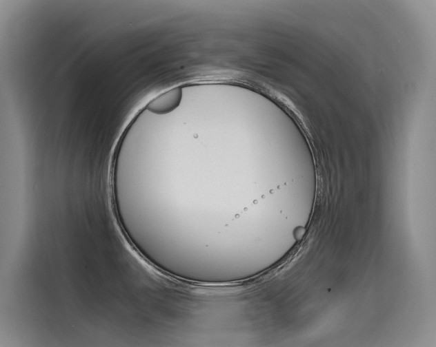 X0000114591487200910191024