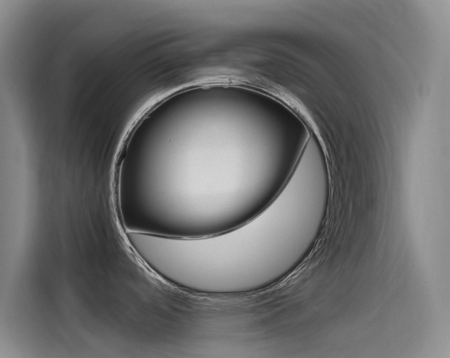 X0000114591488200910191024