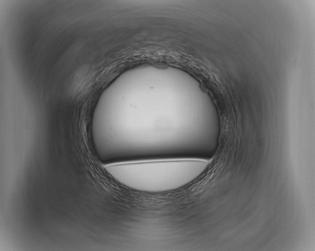 X0000114591489200910191023