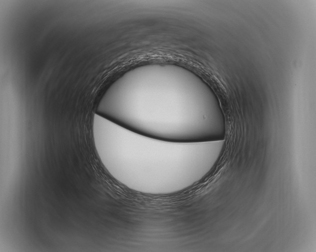 X0000114591490200910191023