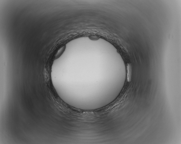 X0000114591491200910191023