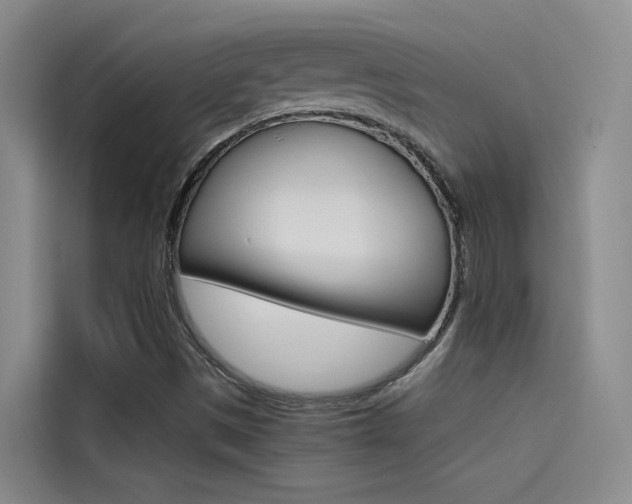 X0000114591497200910191023