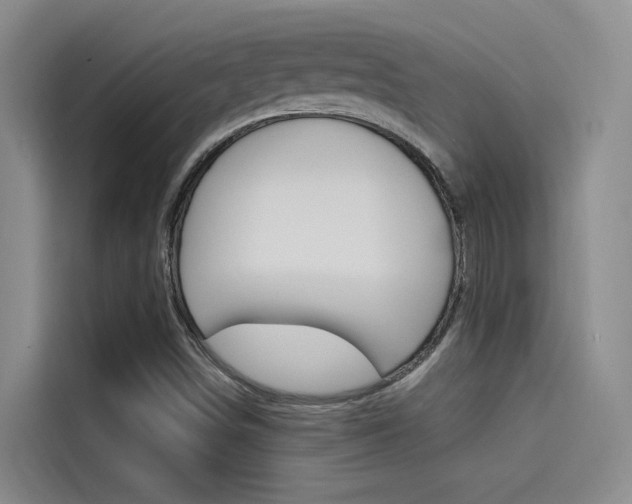 X0000114591498200910191023